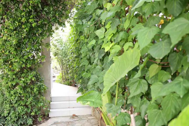 Apartments R&M Tivat Exterior foto